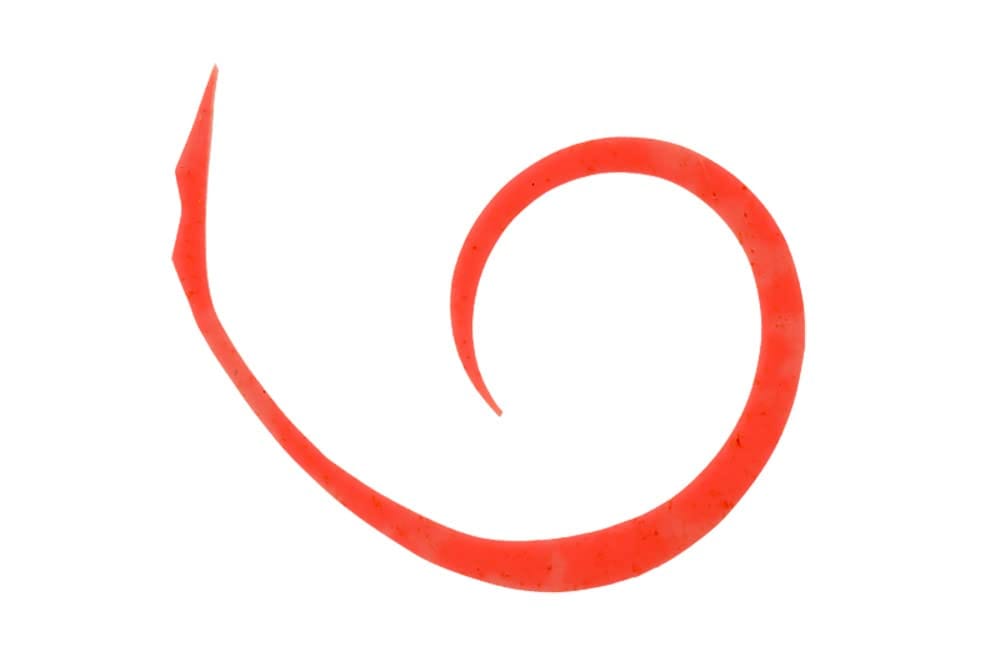 JACKALL(ジャッカル) ビンビンスイッチT+ネクタイ マイクロカーリー スリム ブライトオレン ...