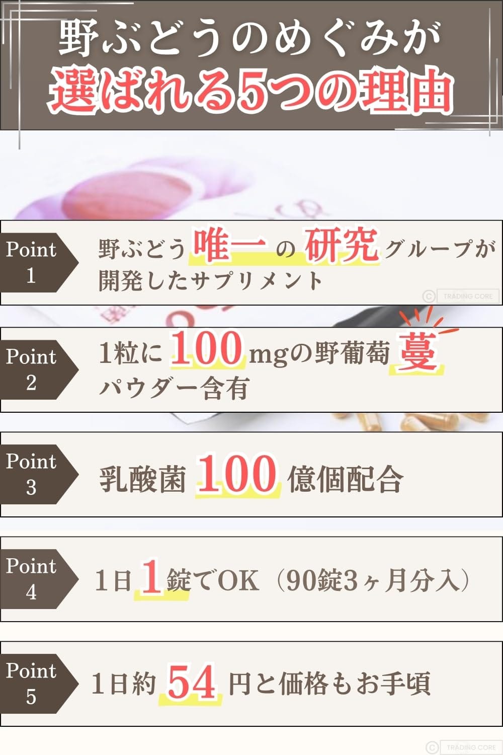 野ぶどうのめぐみ＋乳酸菌 サプリメント・90錠