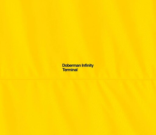 TERMINAL(初回限定盤)(CD+2DVD) TERMINAL(初回限定盤)(CD+2DVD)