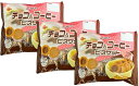 ブルボン チョコ&コーヒービスケット 170g入りx3袋セット