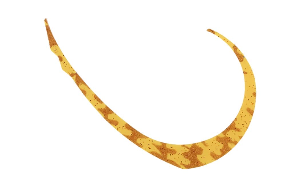 JACKALL(ジャッカル) ビンビンスイッチT+ネクタイ マイクロカーリー ワイド エビオレ