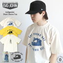 プリントTシャツ ビッグジョン カバー写真 & フォーエバーヤング indigozine BIG JOHN 半袖Tee カットソー ( BJTS53M ) Cover Photo Forever Young S/S Tee クルーネック 半袖 ベーシック ティシャツ 日本製 レイヤード おしゃれ アーベン 普段使い 2025年 楽天