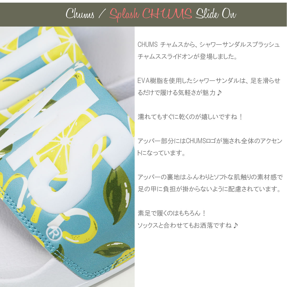 【30%OFFセール】シャワーサンダル チャムス CHUMS チャムスロゴ スプラッシュスラ...