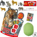【お風呂で学べるミニ図鑑付き】学研の図鑑ライブLIVE 動物 バスボール 広大な草原の香り マスコット入り入浴剤 発泡タイプ (gkn-6) 単品 アーベン が...