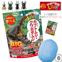 【お風呂で学べるミニ図鑑付き】学研の図鑑ライブLIVE カブトムシ&クワガタ BIG バスボール さわやかな空の香り マスコット入り入浴剤 発泡タイプ (gkn...