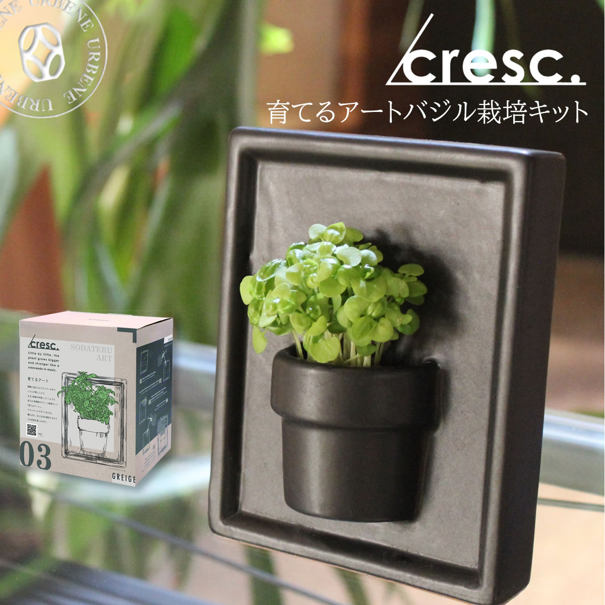 ＼ 育てるアート ／ クレッシェンド 絵画 バジル グリーン栽培キット cresc. ( CRS-2 ) 観葉植物 種から育てる 植物 プランター お部屋で育てるインテリア 観賞用バジル 女性用 男性用 おしゃれ 楽天 自由研究 入学祝い アーベン 普段使い 実用的