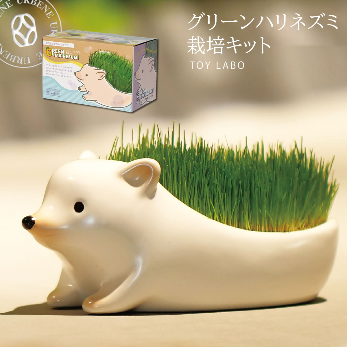 【TOY LABO トイラボ】グリーンハリネズミ 栽培キット 芝 ＆ クローバー ( TOY-8 ) みどり豊かな芝 植物 プランター お部屋で育てるインテリア 小学生 子供用 女性用 男性用 おしゃれ 楽天 自由研究 入学祝い 遊んで学べる 科学おもちゃ アーベン 普段使い 実用的 2024年