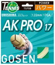 【マラソンエントリーでポイント10倍】ゴーセン ウミシマ AKプロ17 ナチュラル(UMISHIMA AK PRO17) TS708NA