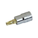 【マラソンエントリーでポイント10倍】SK11 ヘックスローブビットソケット 差込角 9.5mm (3/8インチ) T40 ST3-40
