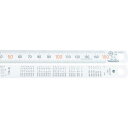 【マラソンエントリーでポイント10倍】TRUSCO(トラスコ) 直尺30cm TSU-30N