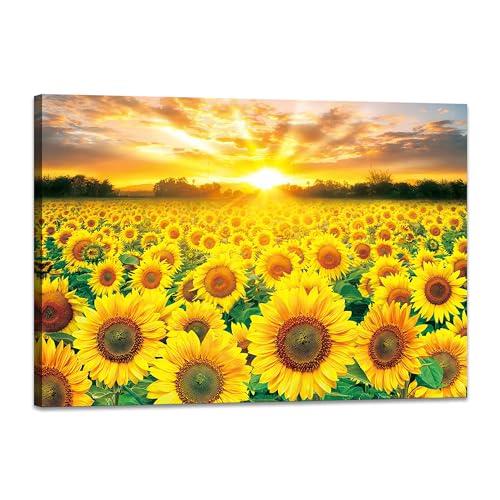 ȥѥͥ Ҥޤ  ʲ Х ݥ 륤ƥꥢ ɳݤ ɾ ݥ  Ū եդδ...