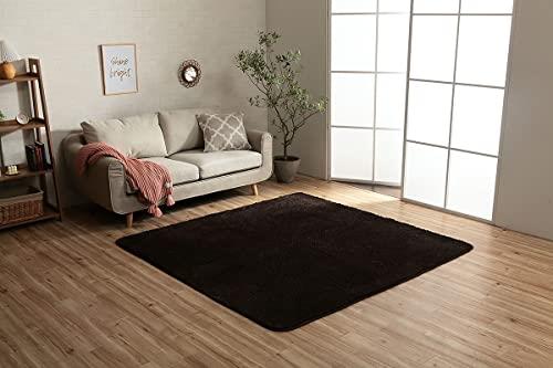 イケヒコ・コーポレーション ラグ カーペット マット 正方形 フィリップ2 畳み ブラウン 約185×185cm 洗 濯 機対応 フ ィ ラ メ ン ト 無地 クッション 通年 オールシーズン #1280600061203