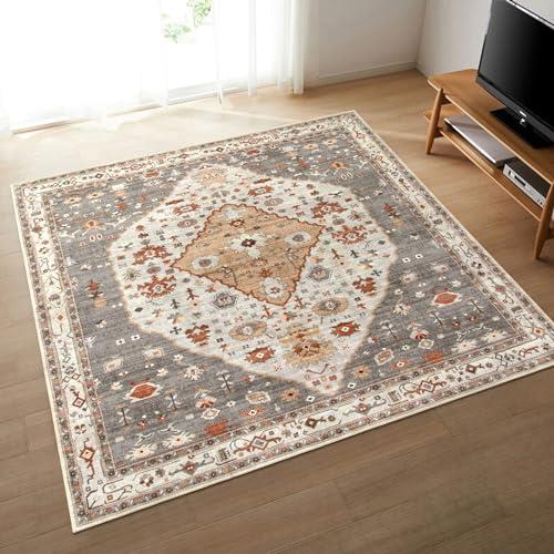 HAOCOO カーペット ラグ 洗える 185×185cm オールシーズン適用 絨毯 エスニック風 ラグマット 2畳 正方形 ふわふわ 滑り止め 低反発 防ダニ 防臭 軽量 防音マット デスクマット ダイニングマット ホットカーペット対応 アンティーク 民族模様