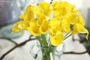 造花 枯れない花 オランダカイウ cally lily アレンジ 20本 花束 結婚式 パーティー 様々な イベント 室内インテリア 造花 (ライトイエ ロー)