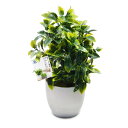 【マラソンエントリーでポイント10倍】TOSSOW 人工観葉植物 フェイクグリーン 観葉植物 フェイク 造花 ミニ インテリア 贈り物
