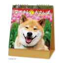 新日本カレンダー 2025年 カレンダー 卓上 柴犬まるとおさんぽ 年表付 NK8529(3)