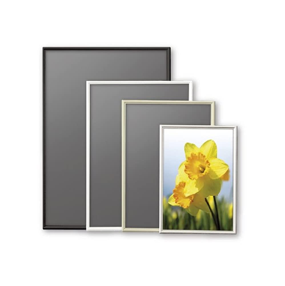 ڥޥ饽󥨥ȥ꡼ǥݥ10ܡۥ  A5 С SH-A5-SV