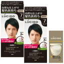 【マラソンエントリーでポイント10倍】LUCIDO(ルシード) 【医 薬 部 外 品】ワンプッシュケアカラー ナチュラルブラック メンズ用 ショートヘア約4回分 サンプル(ス キ ンクリーム2g)+白髪染め セット 2個 (x 1) 【A ma zo n.co.jp 限定】