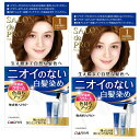 【まとめ買い】 サロンドプロ 白髪染め 無香料ヘアカラー 早染めクリーム 1 かなり明るいライトブラウン 医 薬 部 外 品 2個