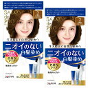 【まとめ買い】 サロンドプロ 白髪染め 無香料ヘアカラー 早染めクリーム 2 より明るいライトブラウン 医 薬 部 外 品 2個