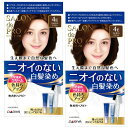 【マラソンエントリーでポイント10倍】【まとめ買い】 サロンドプロ 白髪染め 無香料ヘアカラー 早染めクリーム 4E エ レ ガ ン トブラウン 医 薬 部 外 品 2個