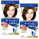 【まとめ買い】 サロンドプロ 白髪染め 無香料ヘアカラー 早染めクリーム 4K 栗色がかったライトブラウン 医 薬 部 外 品 2個