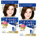 【まとめ買い】 サロンドプロ 白髪染め 無香料ヘアカラー 早染めクリーム 5E 深みのあるエ レ ガ ン トブラウン 医 薬 部 外 品 2個