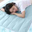 【マラソンエントリーでポイント10倍】ひんやりマット (cool mat )超冷感 冷却マット 接触冷感Q-max 0.58 冷感ジェルマット 涼感寝具 夏用寝具 冷感敷きパッド 熱中症対策 速乾 軽量 折り畳み可 人・ペット用