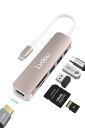 Lvdou 2024高機能版 USB C ハブ 6-in-1 Type-C アダプタ|100W PD充電・4K HDMI・USB 2.0/3.0・MicroSD/SDカードリーダー搭載|MacBook Pro/Air, I P h o n e 15/16, iPad Pro, Surface Pro 9/8, HP, DELL, Chromebook対応 ノートPC/タブレット用|適格請求書発行可(2)