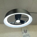 ★8月9日0時スタート!!お買い物マラソン期間中限定 ポイント10倍★シーリングファン 【中古】動作保証 artika アルティカ リモコン付き LEDライト ...