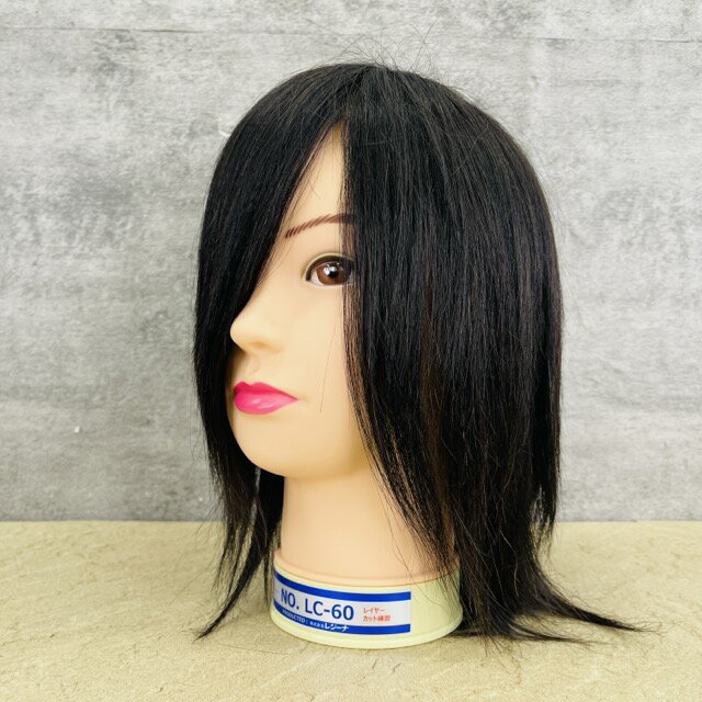 楽天市場】レジーナ カットウィッグ（ヘアケア・スタイリング｜美容