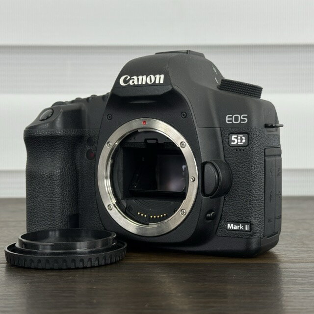 ★2月15日 24時間限定 ポイント10倍!!�