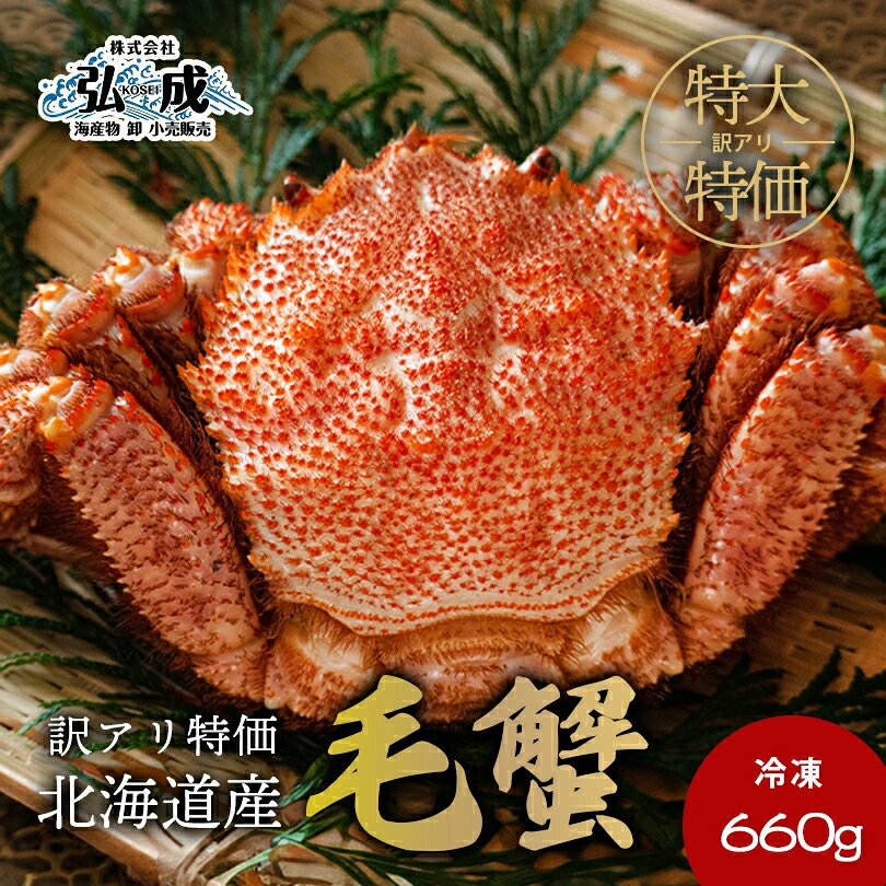 【北海道産 訳あり特大毛ガニ 660g前後】【冷凍】身入り抜群・濃厚カニ味噌！訳あり特価でお得な本格毛蟹 食品