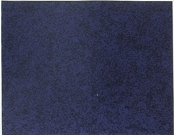 學習, 服務, 保險 - エコセル かすみ紫 1220×915/0.4｜棚シート フードマット ショーケースマット 陳列棚 シート 食品売り場 冷蔵ケース 陳列マット 陳列台シート 棚敷き 棚板 惣菜コーナー オレフィン樹脂 お手入れ簡単 水拭き可 売り場演出 ディスプレイ 装飾 飾り