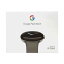 ڿʡGoogle Pixel Watch Polished Silver GA03305-TW