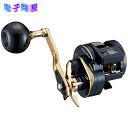 【エントリーでポイント10倍!7月26日01時59分まで】【新品】ダイワ DAIWA 21 ソルティガIC 300 右ハンドル
