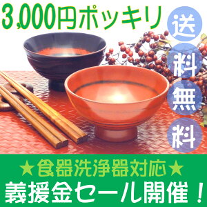 【義援金セール】【送料無料】食器洗浄機対応の飯椀・3000円ポッキリお箸のおまけ付き【smtb-k】【w1】【楽ギフ_包装】