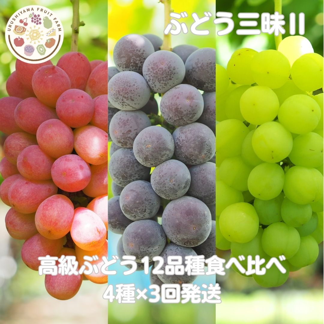 【送料無料】高級ぶどう詰合 ぶどう三昧12品種 4房×3回お届け