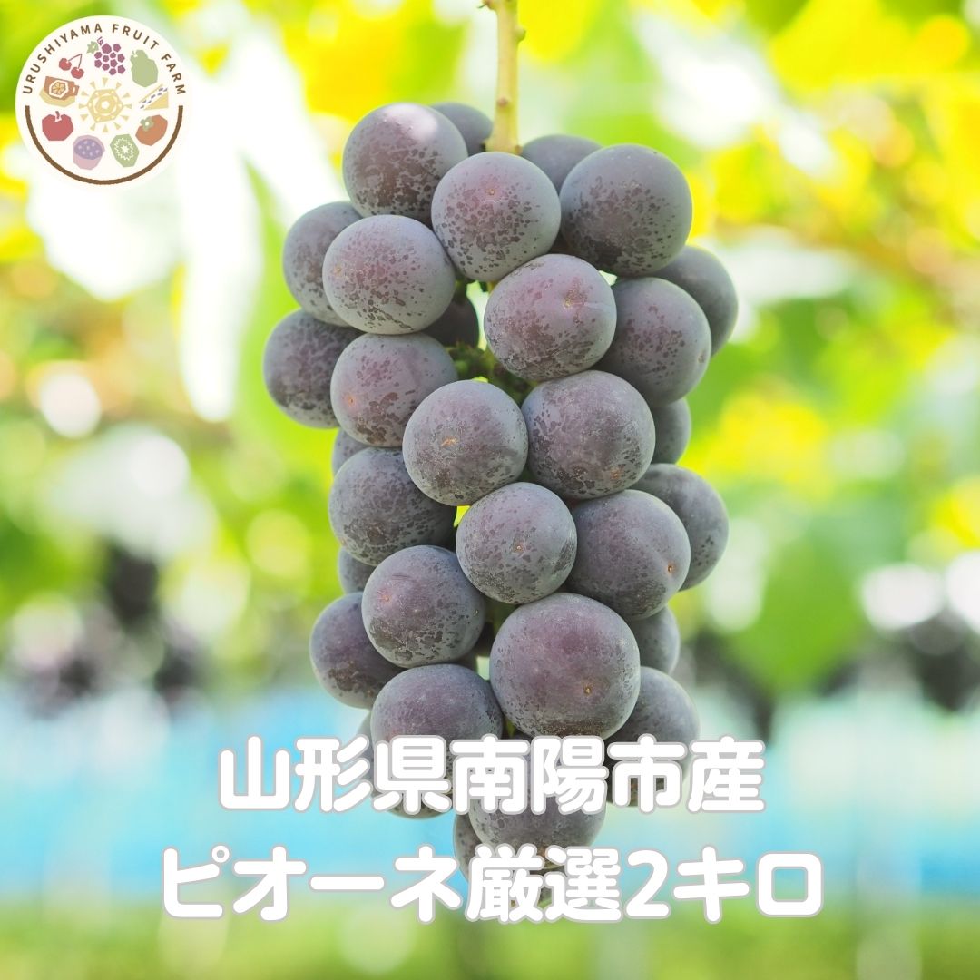 山形産高級ぶどう ピオーネ 厳選品2kg詰合