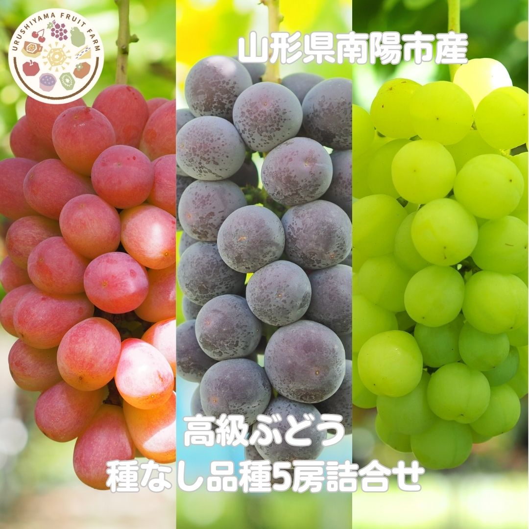 種なし品種5房詰合限定品