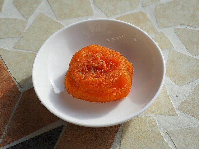 �۲̥ɥ饤�֤ޤ뤴�ȴ�������1�� ���ߥɥ饤�ʤΤ���ϤȤ�������餫��