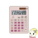 【7/18限定 ダイヤモンド会員ならエントリーで当店全品最大P8倍】【在庫処分】DT600TX-P オーロラジャパン 電卓 卓上タイプ