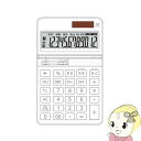 【5/10は期間限定クーポン発行】【在庫処分】DT700TX-W オーロラジャパン 電卓 卓上タイプ(2)