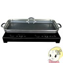 【7/18限定 ダイヤモンド会員ならエントリーで当店全品最大P8倍】SKJ エスケイジャパン 2口 IHクッキングヒーター 専用プレート付 SKJ-YA142HP【/srm】