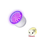 【7/25は期間限定クーポン発行】ビューティフルエンジェル 美ルル belulu LED 光美容器 ヒカリミニ KRD1022【KK9N0D18P】