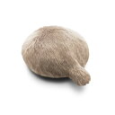 【在庫あり】しっぽクッション プチクーボ セラピーロボット 癒し ペットロボット 動物 猫 尻尾 ギフト ユカイ工学 Petit Qoobo マロン 茶 YE-...
