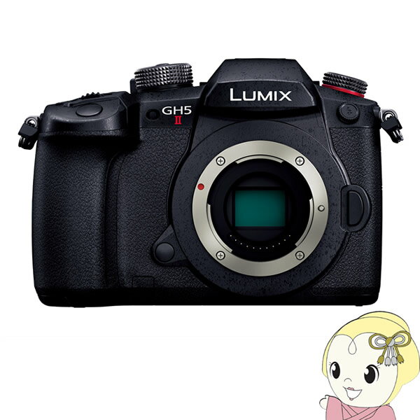 【エントリーで当店全品最大P5倍 5/17 10時~5/20 9:59】Panasonic パナソニック LUMIX Gシリーズ ミラーレス 一眼カメラ DC-GH5M2 ボディ【/srm】【KK9N0D18P】