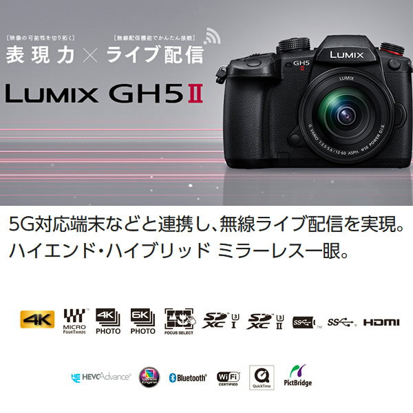 Panasonic パナソニック LUMIX Gシリーズ ミラーレス 一眼カメラ DC-GH5M2 ボディ【/srm】【KK9N0D18P】 2