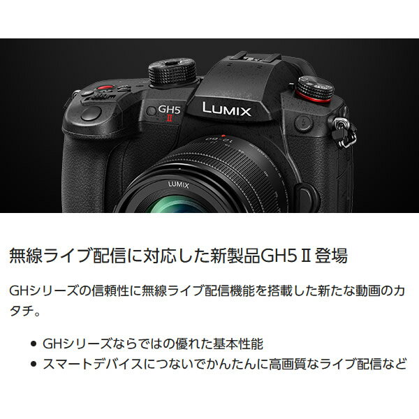 Panasonic パナソニック LUMIX Gシリーズ ミラーレス 一眼カメラ DC-GH5M2 ボディ【/srm】【KK9N0D18P】 3