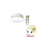 【6/1は複数エントリーで当店全品最大P11倍】ムサシ 屋外用センサーシーリングライト リモコン付 LED-165
